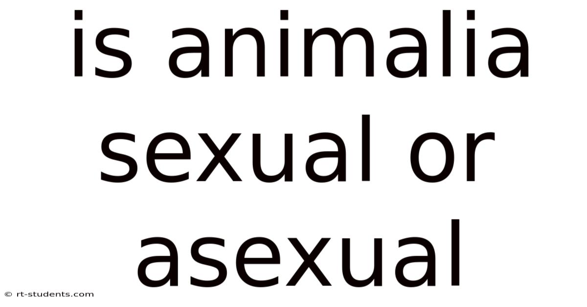 Is Animalia Sexual Or Asexual