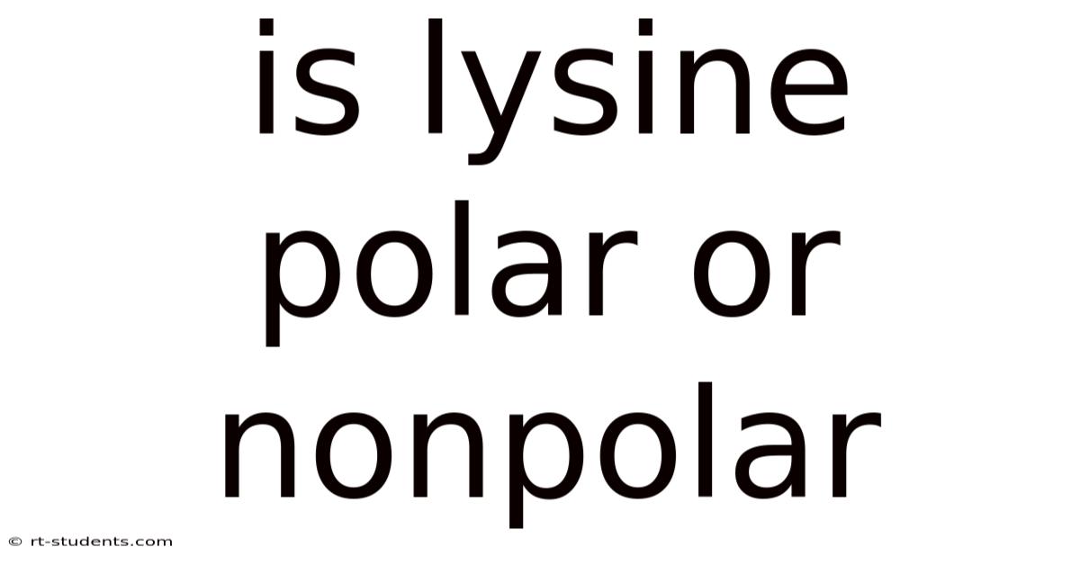 Is Lysine Polar Or Nonpolar