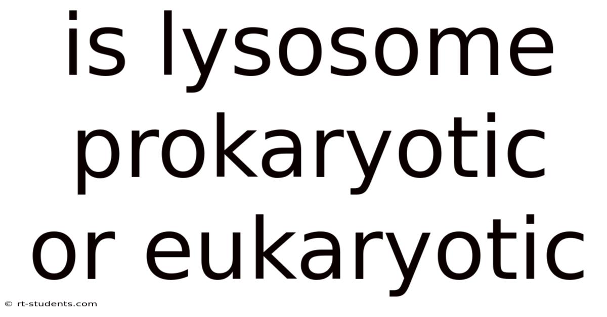 Is Lysosome Prokaryotic Or Eukaryotic