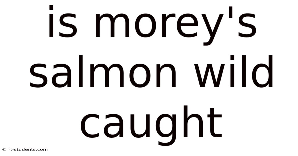 Is Morey's Salmon Wild Caught