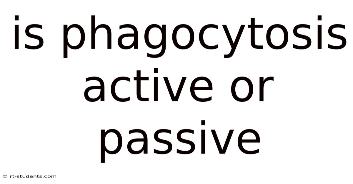 Is Phagocytosis Active Or Passive