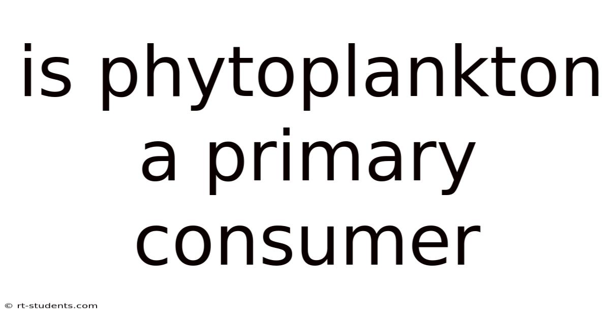 Is Phytoplankton A Primary Consumer