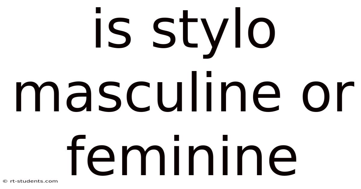 Is Stylo Masculine Or Feminine
