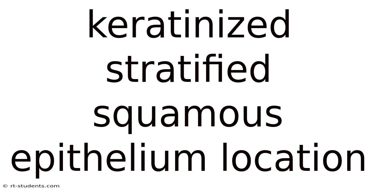 Keratinized Stratified Squamous Epithelium Location
