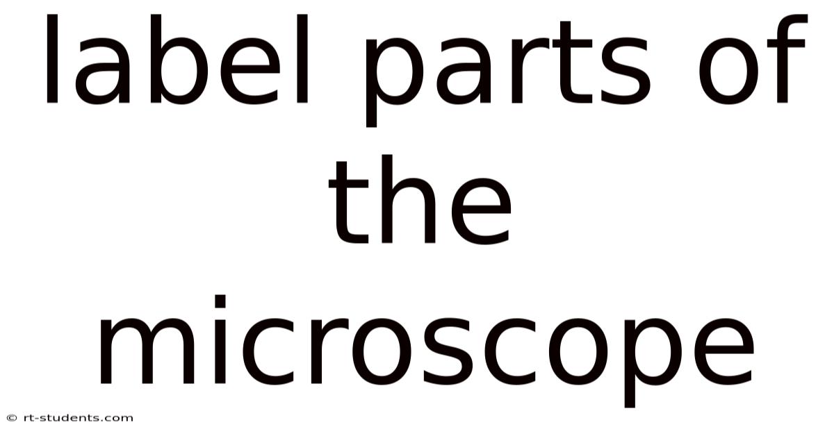 Label Parts Of The Microscope