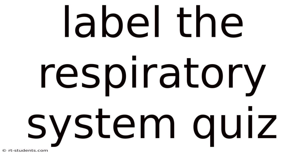Label The Respiratory System Quiz
