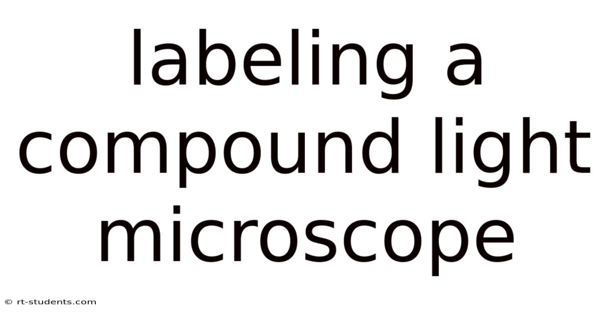 Labeling A Compound Light Microscope