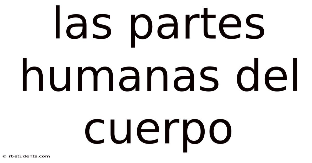 Las Partes Humanas Del Cuerpo