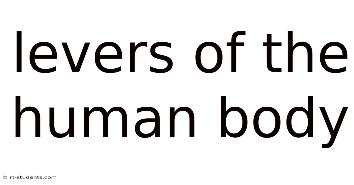 Levers Of The Human Body