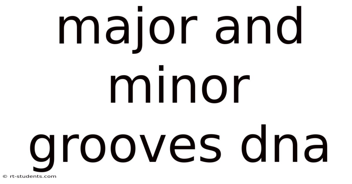 Major And Minor Grooves Dna
