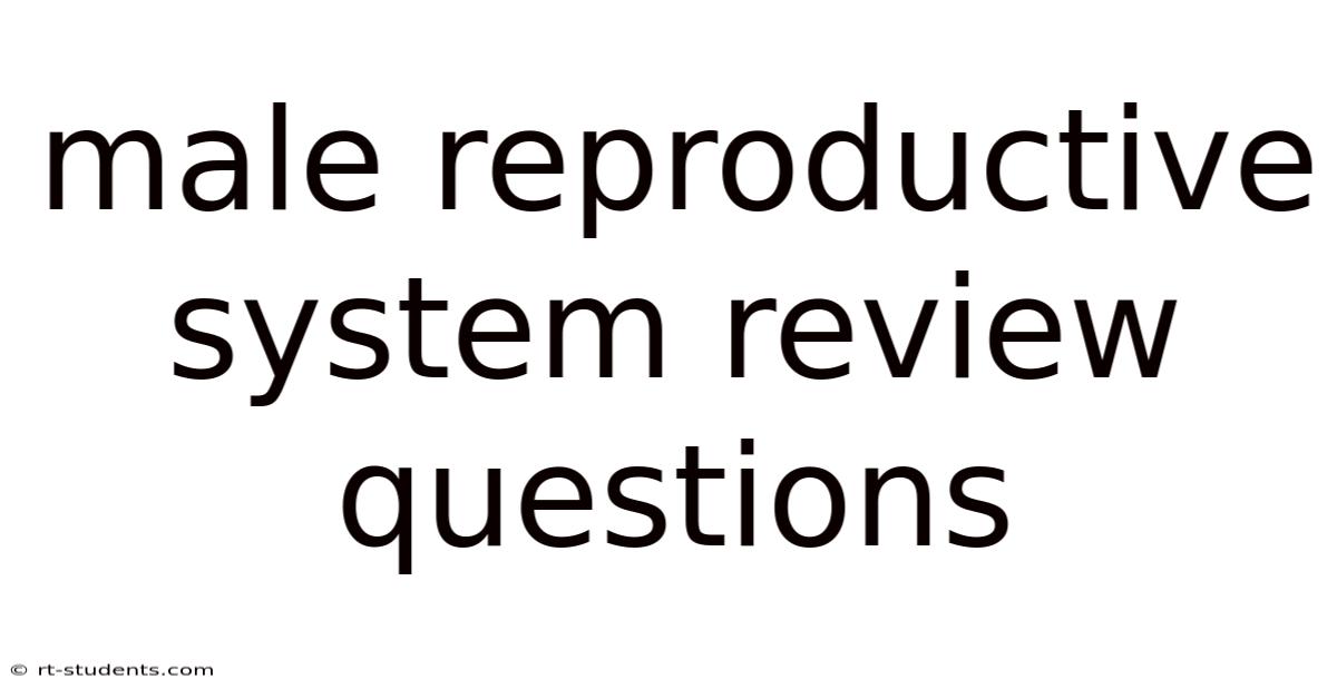 Male Reproductive System Review Questions