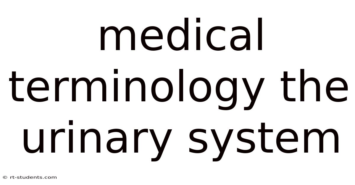 Medical Terminology The Urinary System