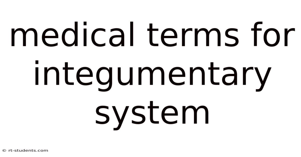 Medical Terms For Integumentary System