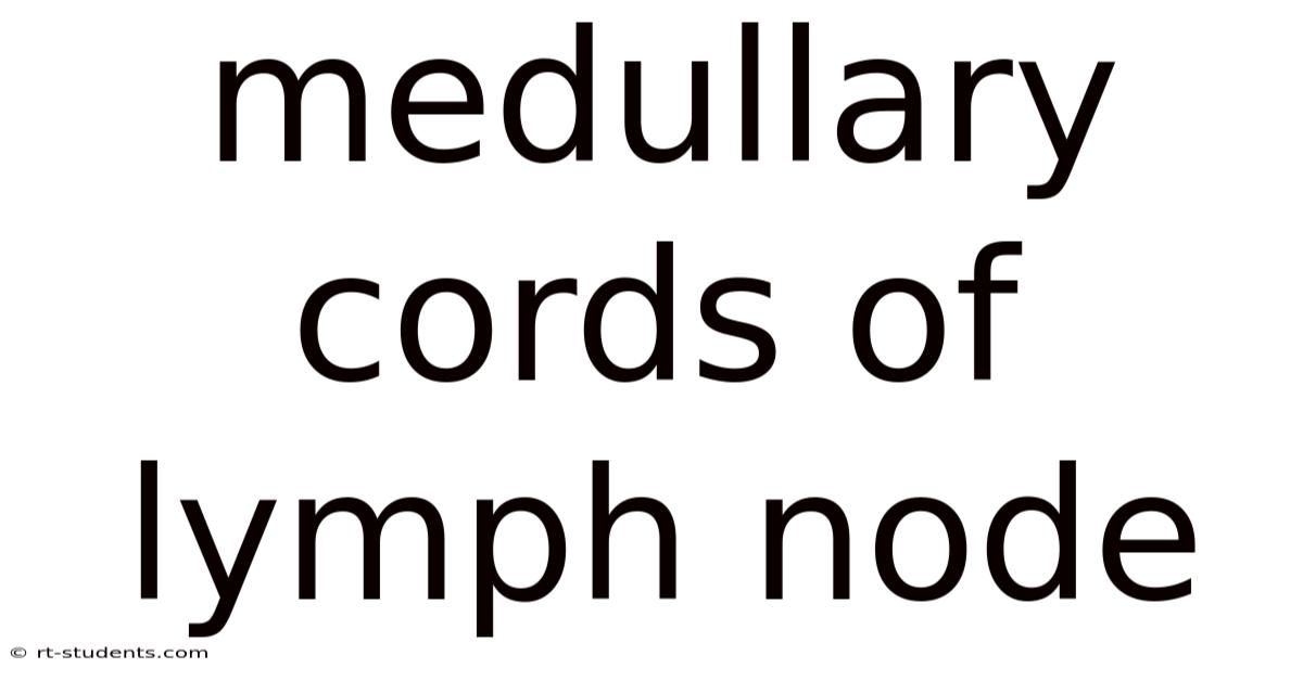 Medullary Cords Of Lymph Node