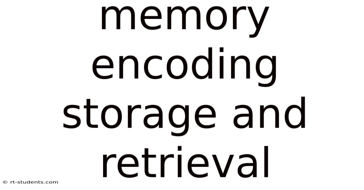 Memory Encoding Storage And Retrieval