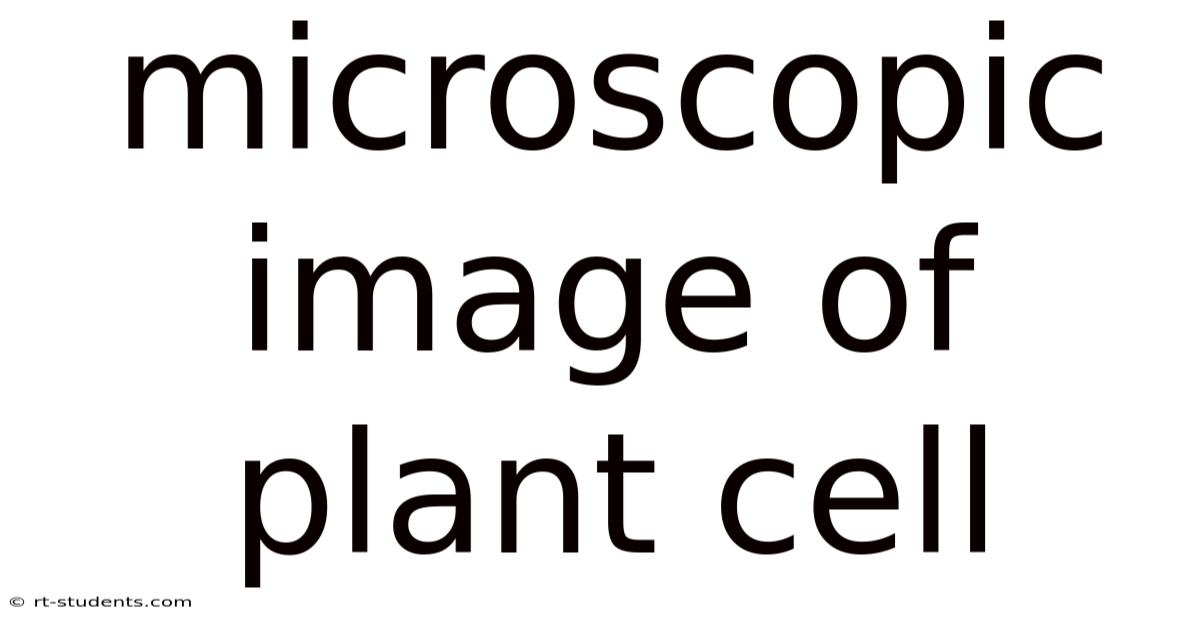 Microscopic Image Of Plant Cell