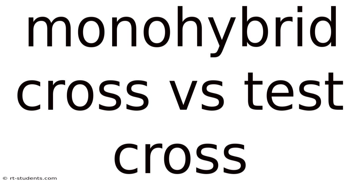 Monohybrid Cross Vs Test Cross
