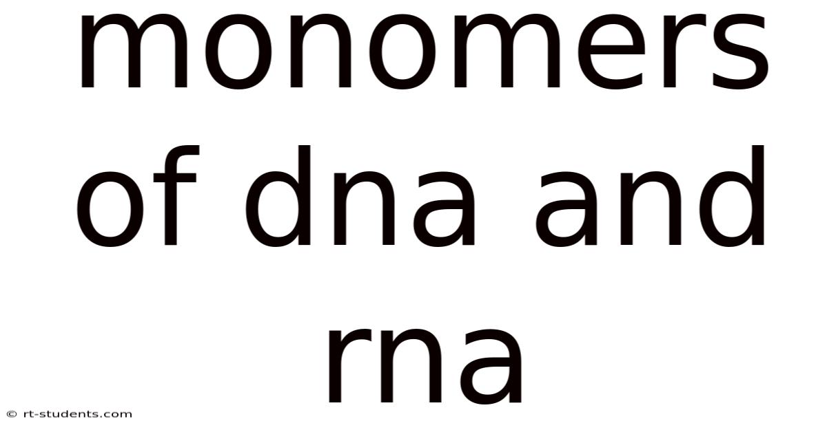 Monomers Of Dna And Rna