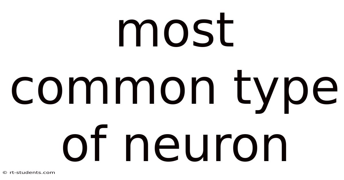 Most Common Type Of Neuron
