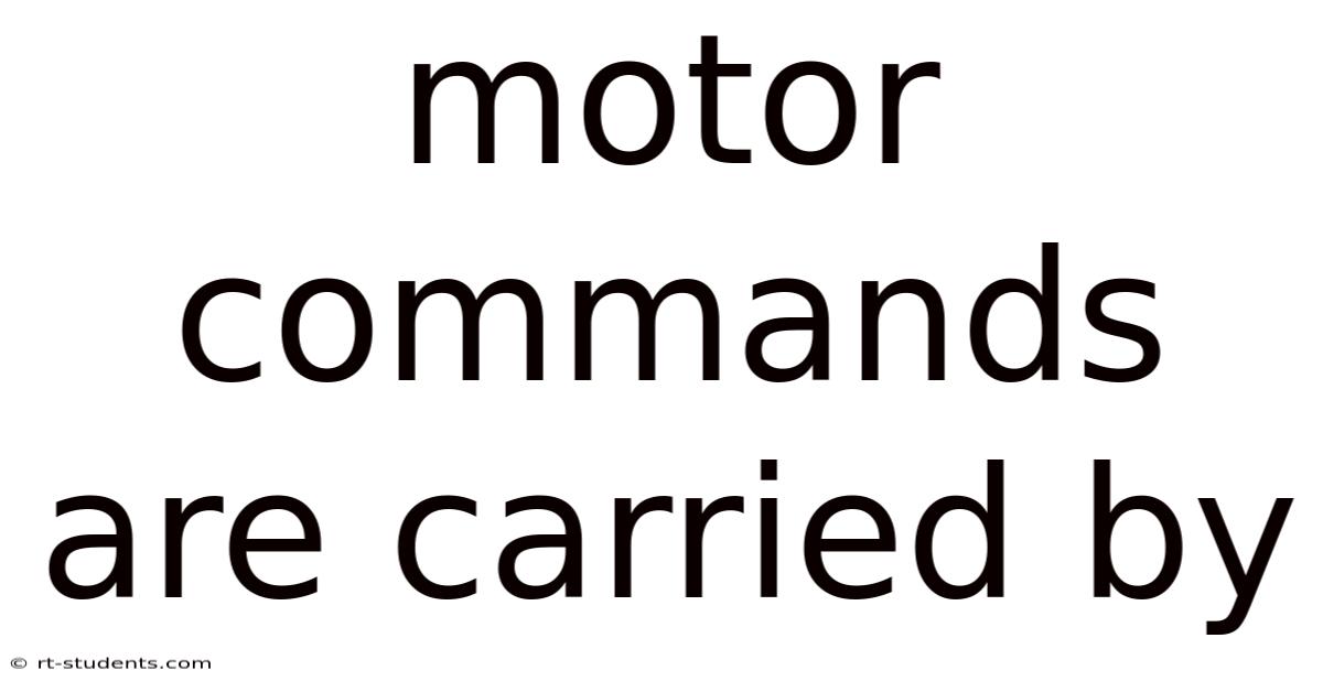 Motor Commands Are Carried By