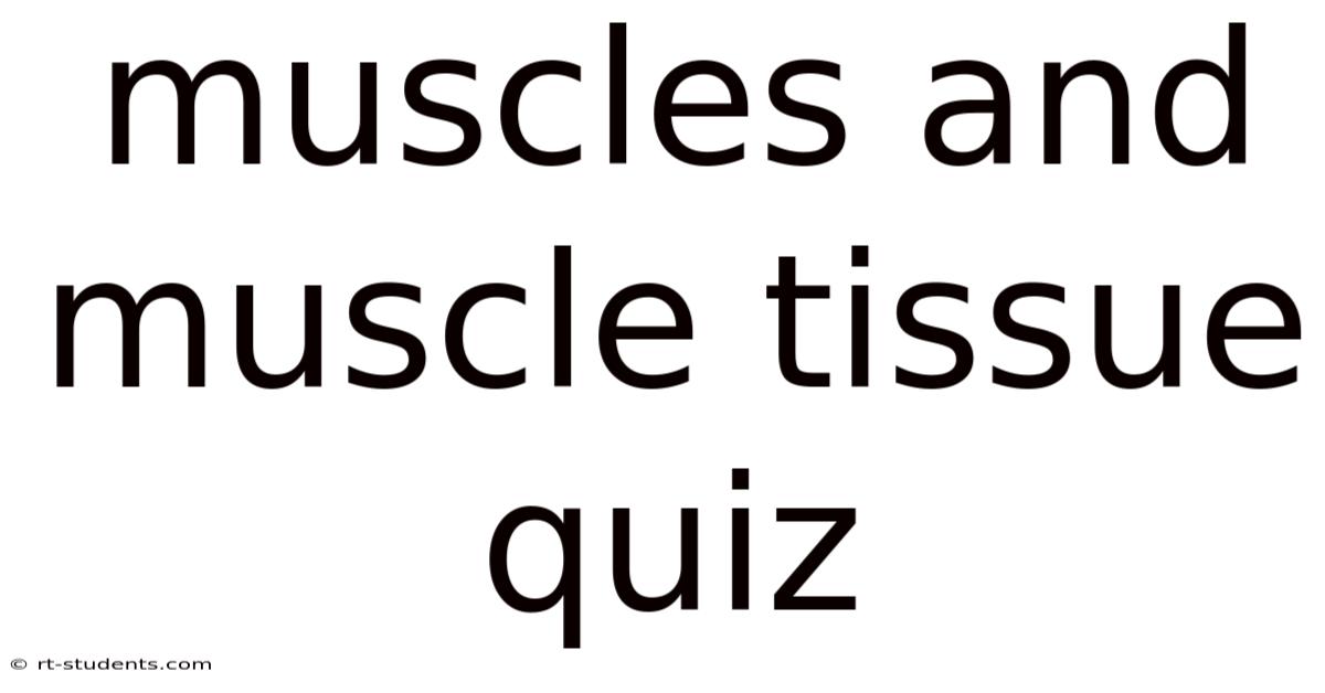 Muscles And Muscle Tissue Quiz