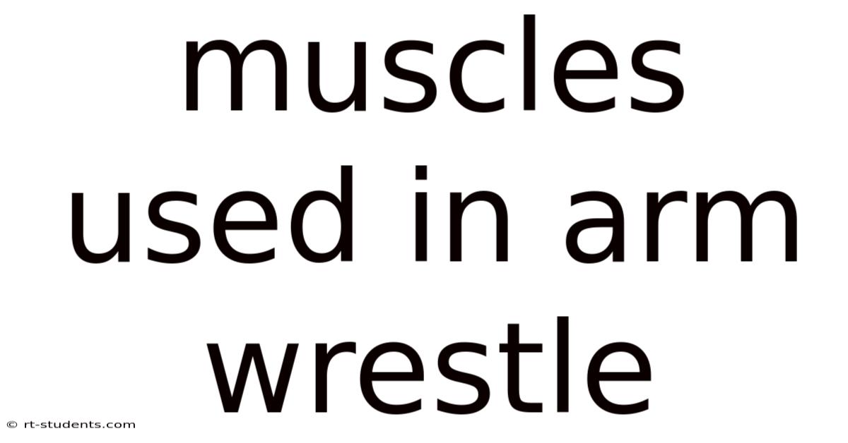 Muscles Used In Arm Wrestle