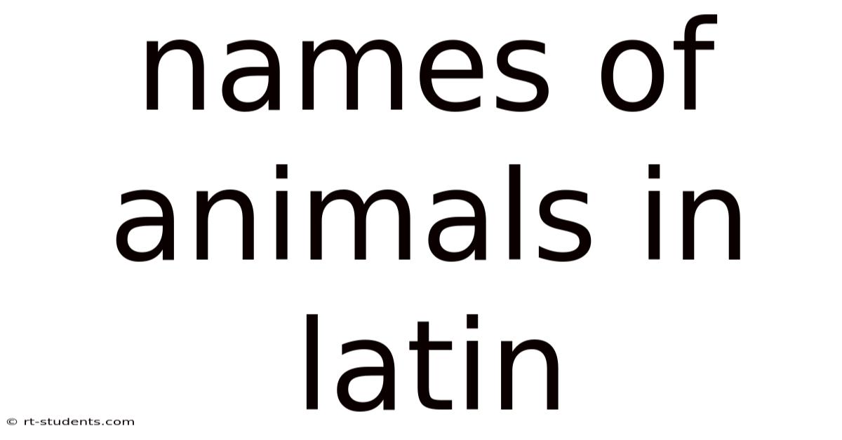 Names Of Animals In Latin
