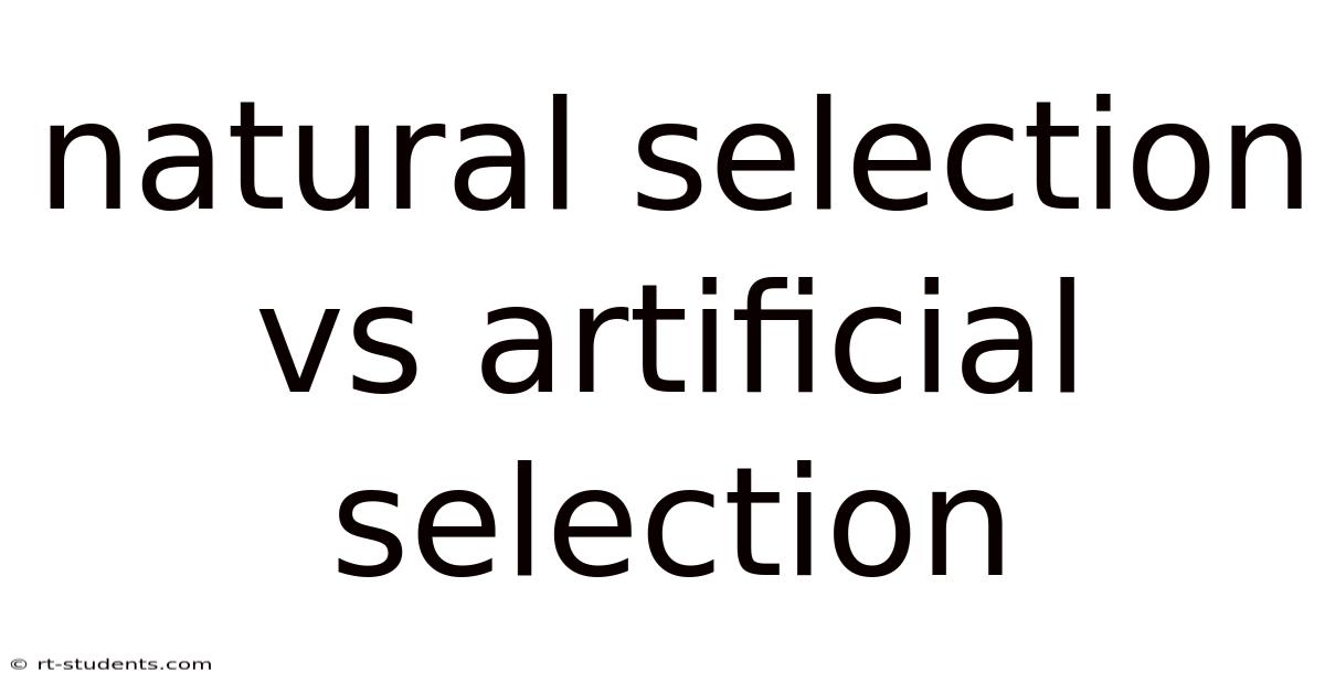 Natural Selection Vs Artificial Selection