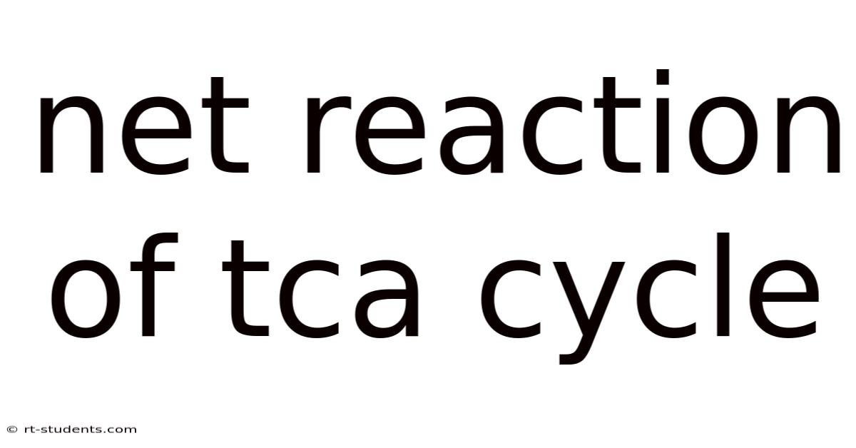 Net Reaction Of Tca Cycle
