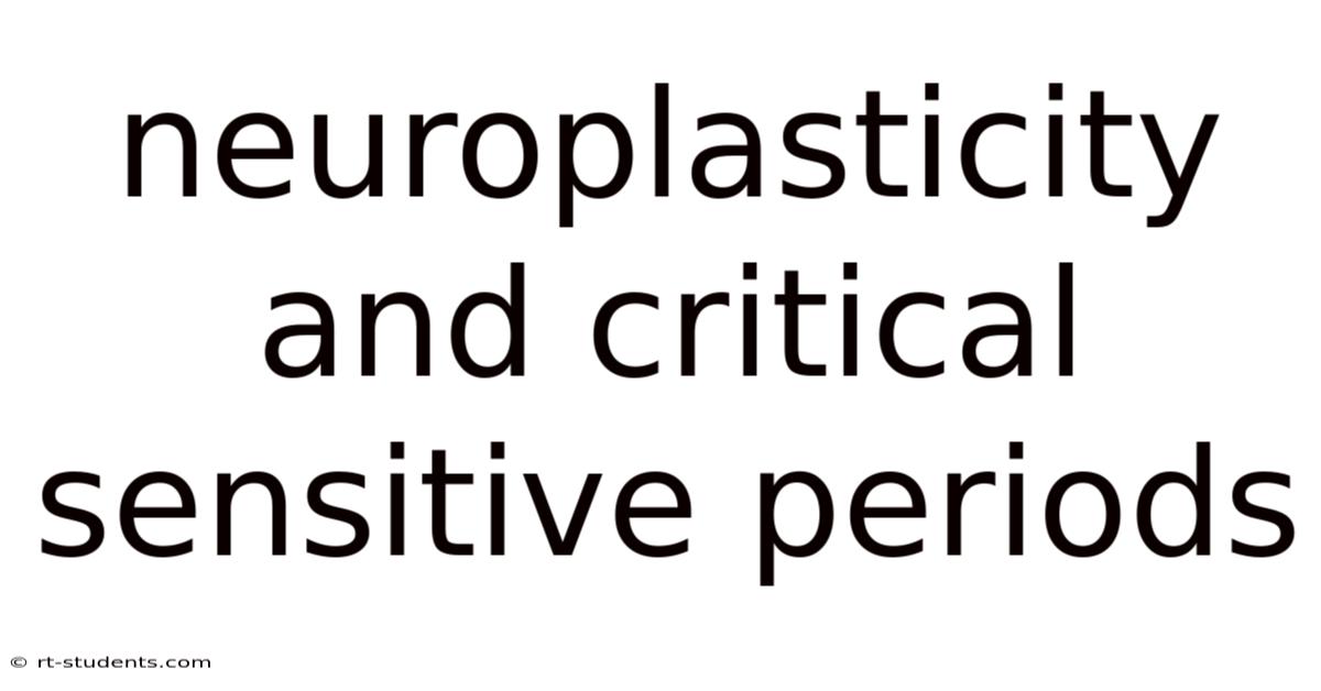 Neuroplasticity And Critical Sensitive Periods