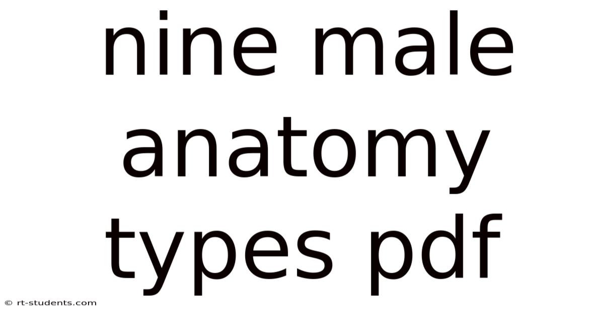 Nine Male Anatomy Types Pdf