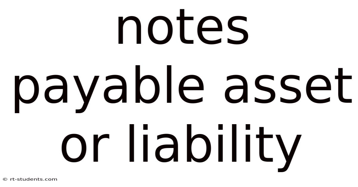 Notes Payable Asset Or Liability