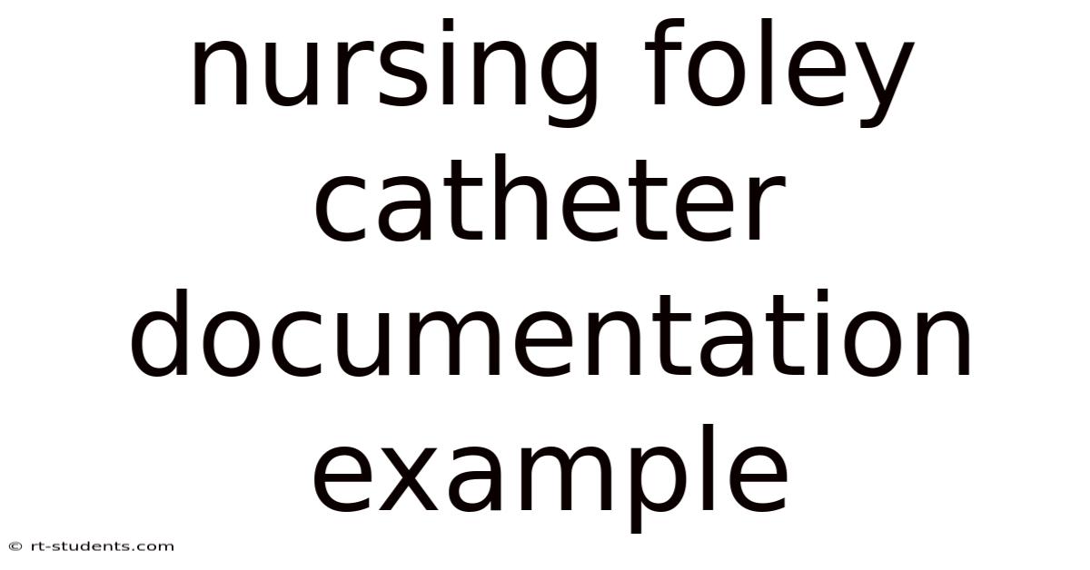 Nursing Foley Catheter Documentation Example