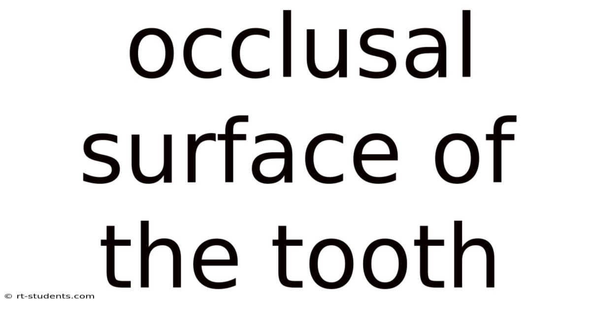 Occlusal Surface Of The Tooth
