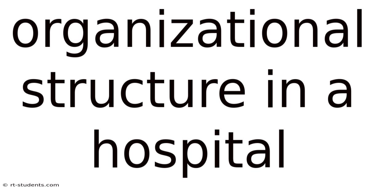 Organizational Structure In A Hospital