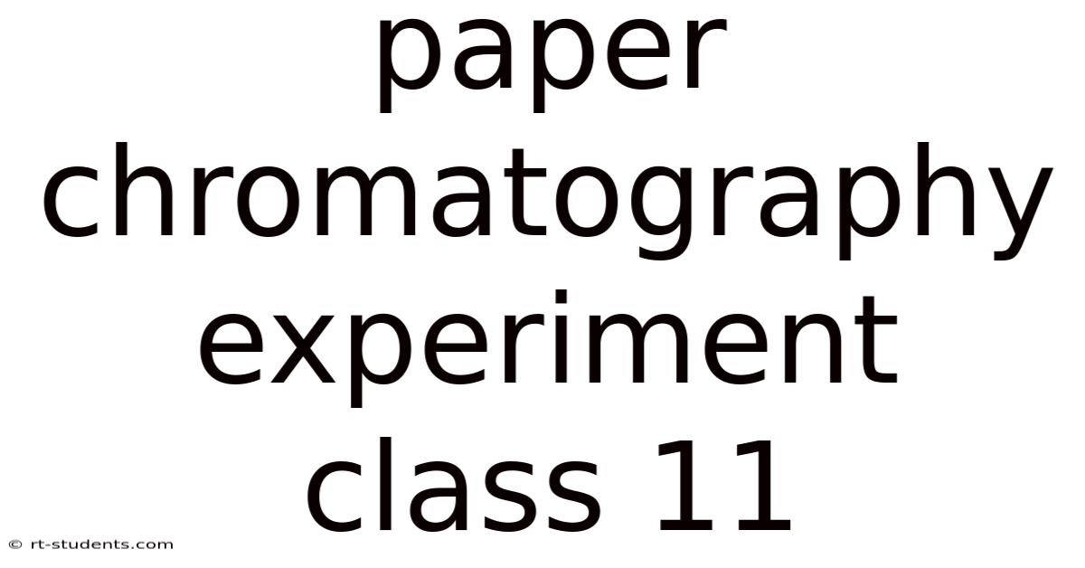 Paper Chromatography Experiment Class 11