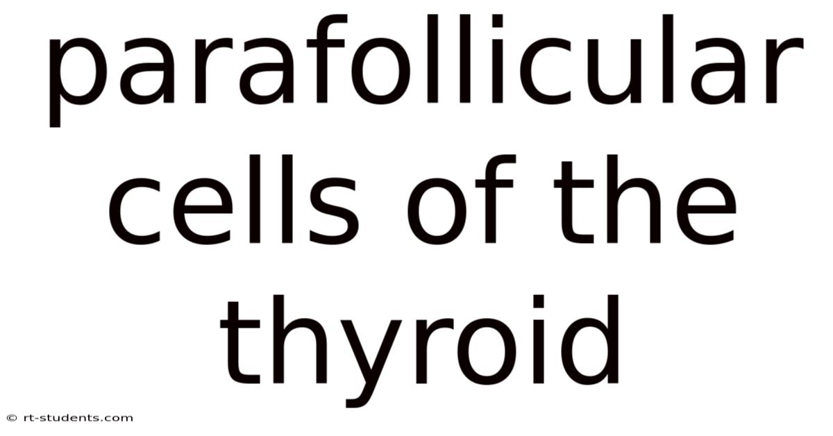 Parafollicular Cells Of The Thyroid