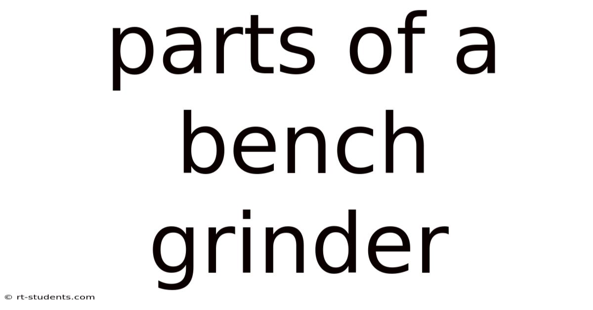 Parts Of A Bench Grinder