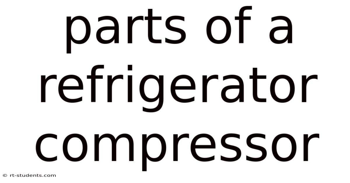 Parts Of A Refrigerator Compressor