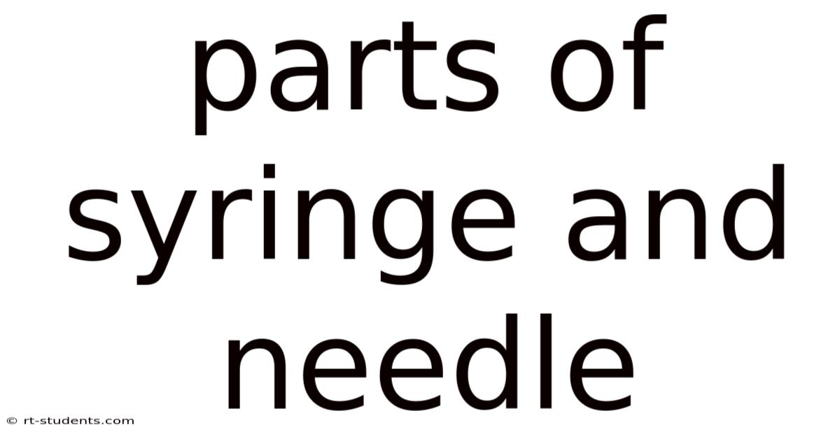 Parts Of Syringe And Needle