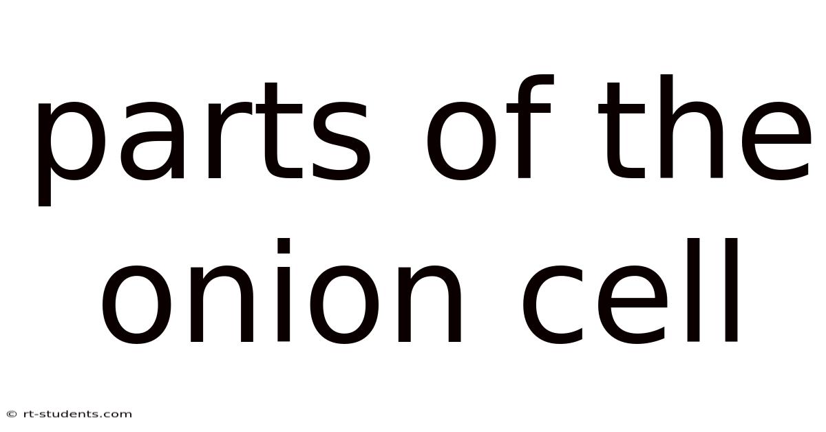 Parts Of The Onion Cell