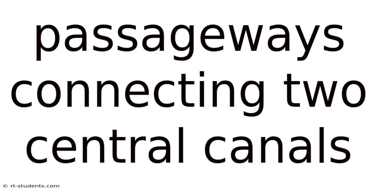 Passageways Connecting Two Central Canals