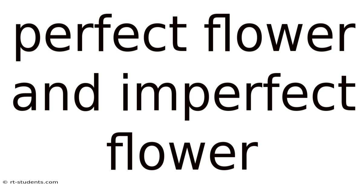Perfect Flower And Imperfect Flower