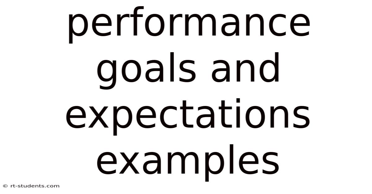 Performance Goals And Expectations Examples