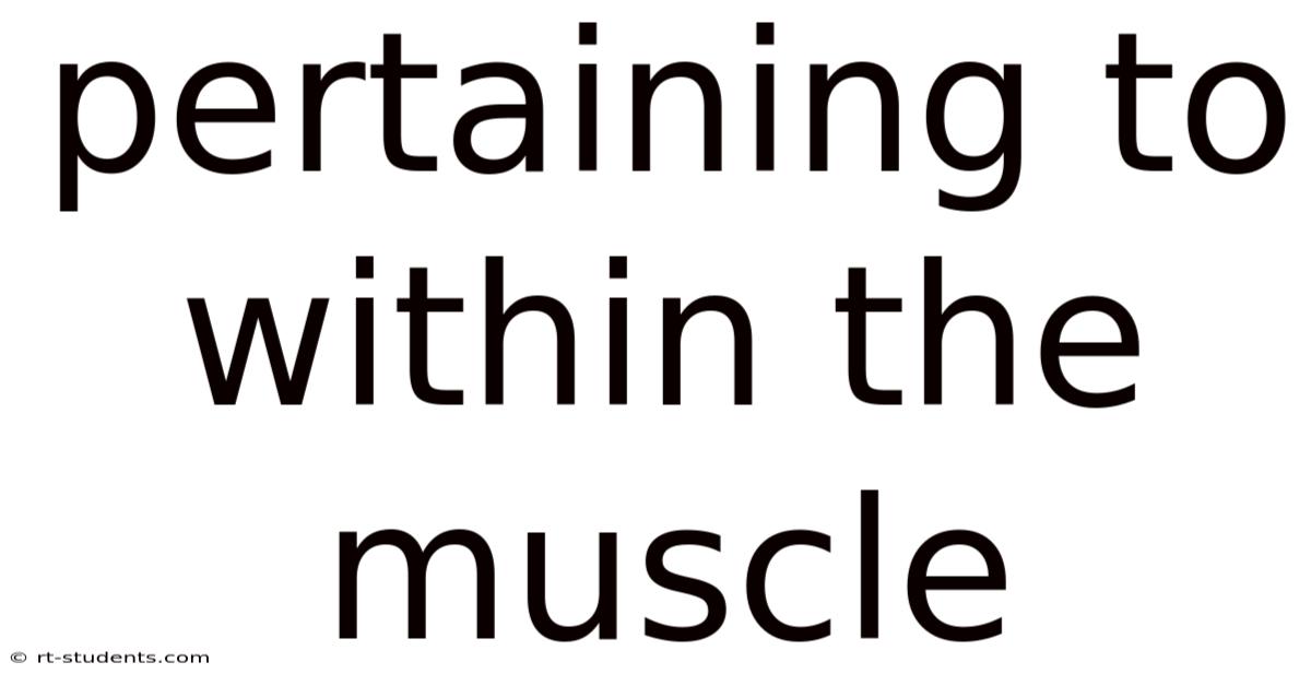 Pertaining To Within The Muscle