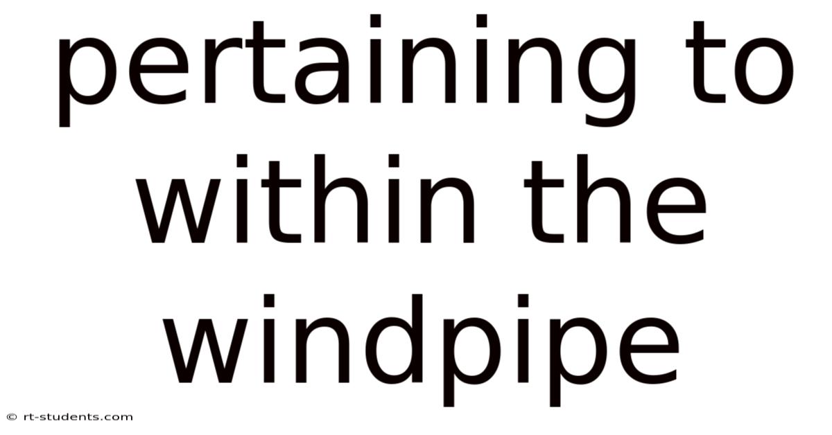 Pertaining To Within The Windpipe