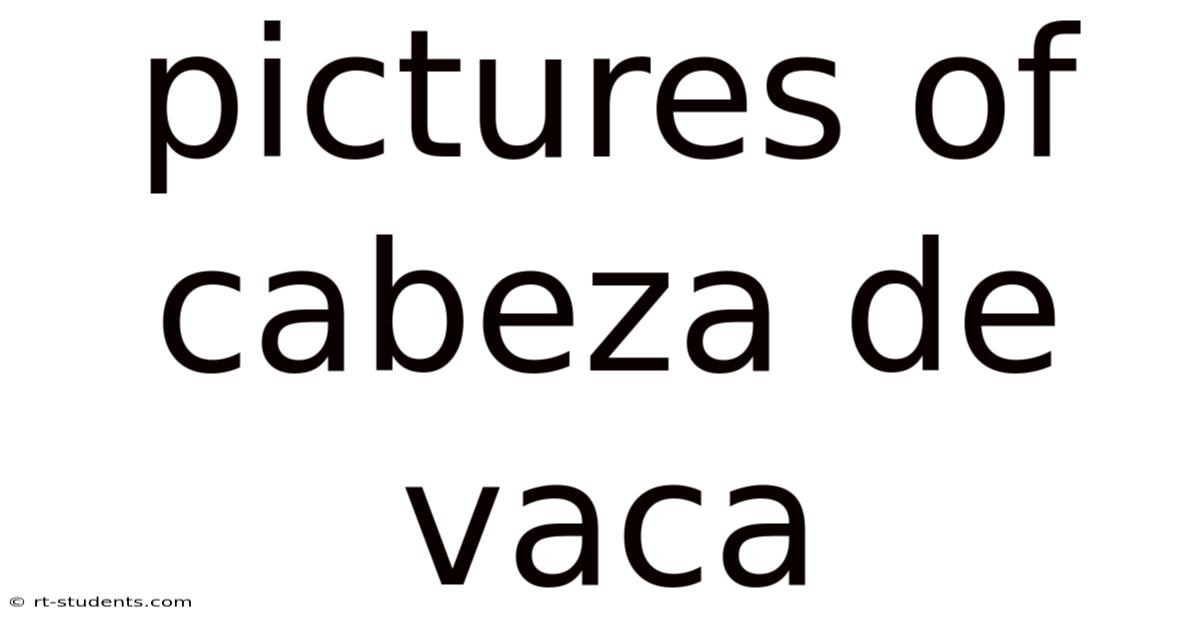 Pictures Of Cabeza De Vaca