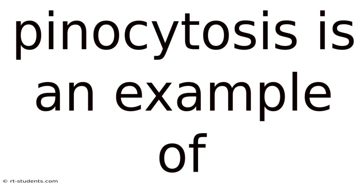 Pinocytosis Is An Example Of