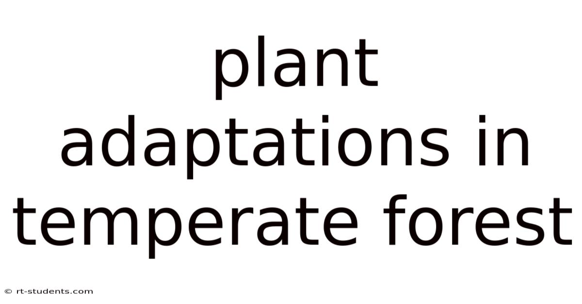 Plant Adaptations In Temperate Forest