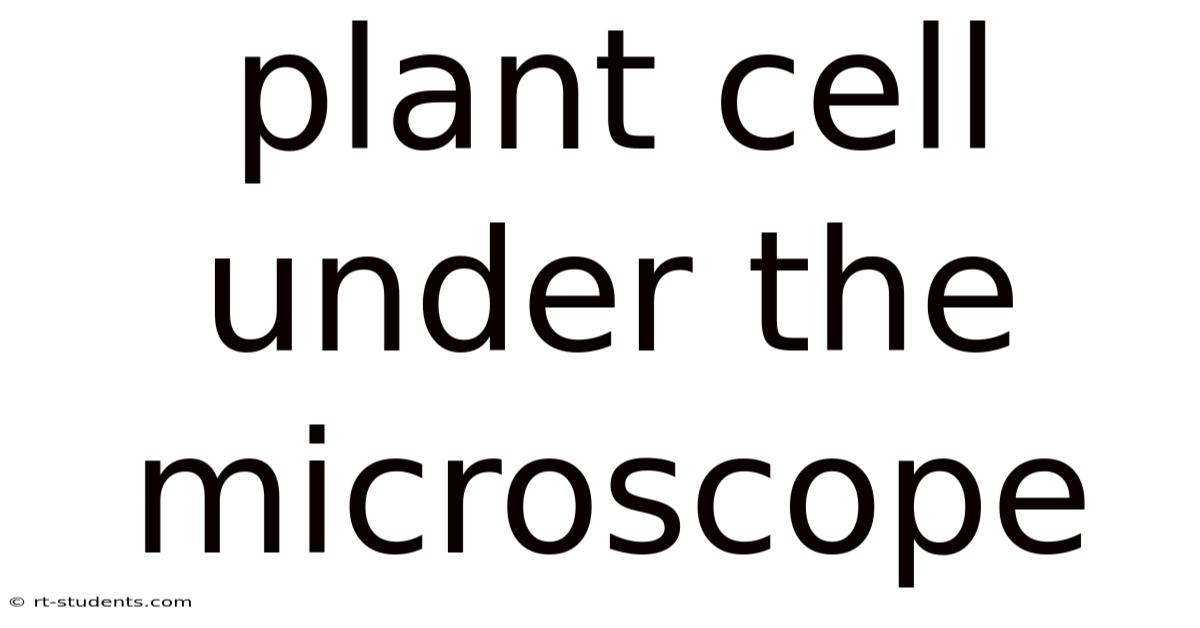 Plant Cell Under The Microscope